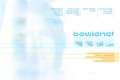 Bowienet Version 2.0 Website